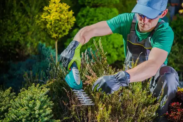 landscaping services Hurstbourne